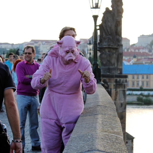 Picture of a man in a pig costume on Charle's Bridge
